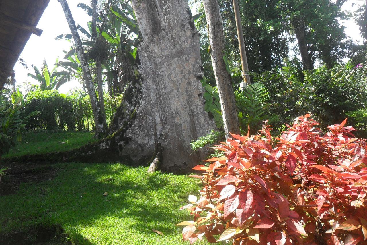 Estancia La Colina Santo Domingo de los Colorados Eksteriør billede