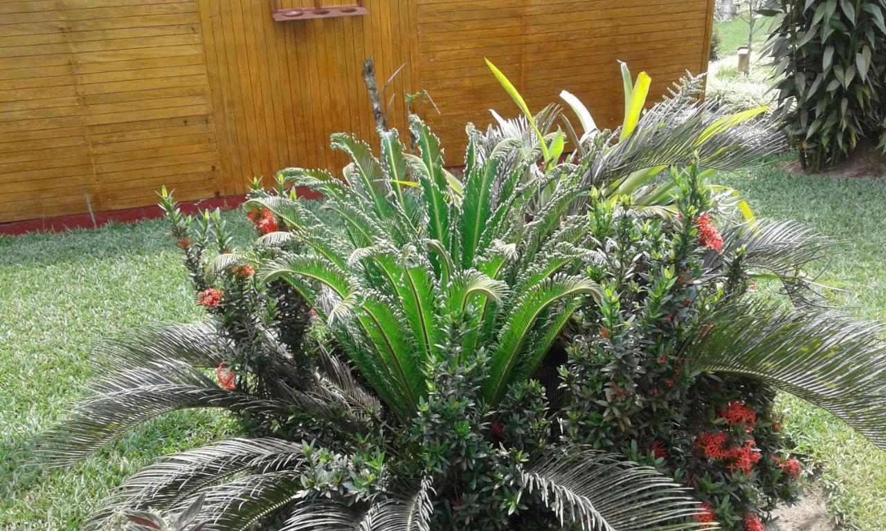 Estancia La Colina Santo Domingo de los Colorados Eksteriør billede